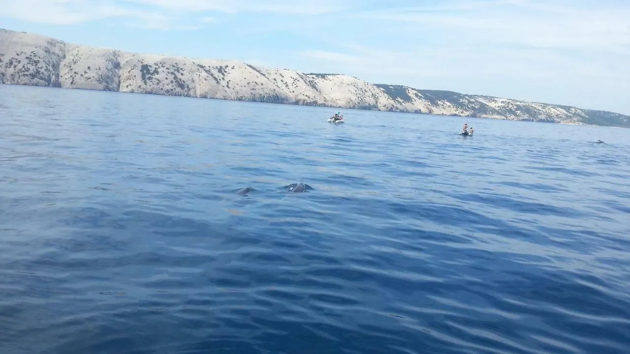 Villa Riva Barbat na Rabu Croatia